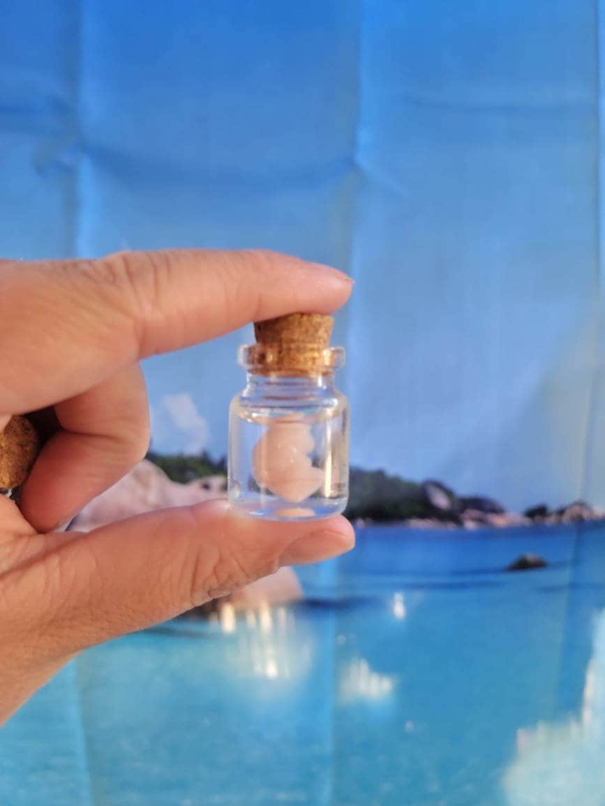 fetus silicone memorial baby in glass jar