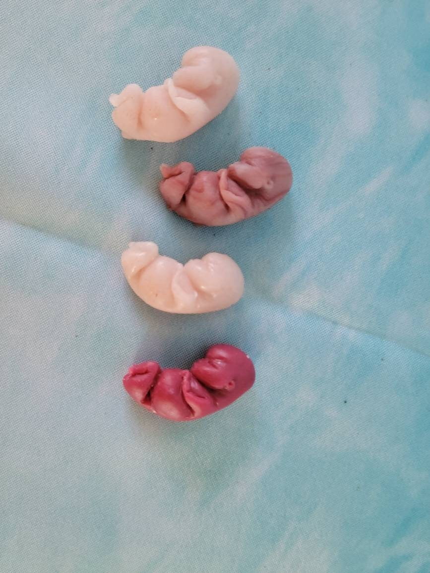 10 week gestational fetus silicone baby keepsake