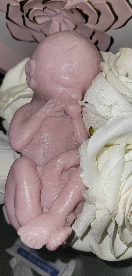 22 week gestational fetus unborn memorial baby