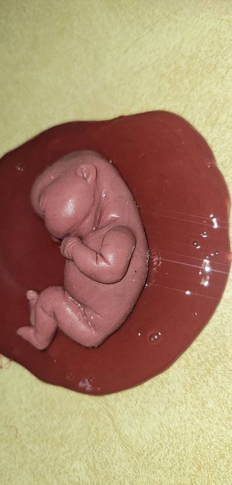 Silicone baby fetus memorial baby inside red womb you choose gestational size