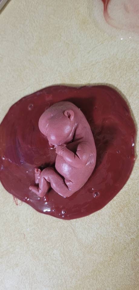 Silicone baby fetus memorial baby inside red womb you choose gestational size