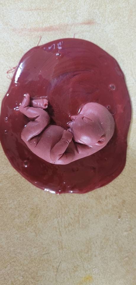 Silicone baby fetus memorial baby inside red womb you choose gestational size
