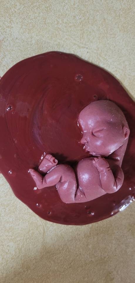 Silicone baby fetus memorial baby inside red womb you choose gestational size