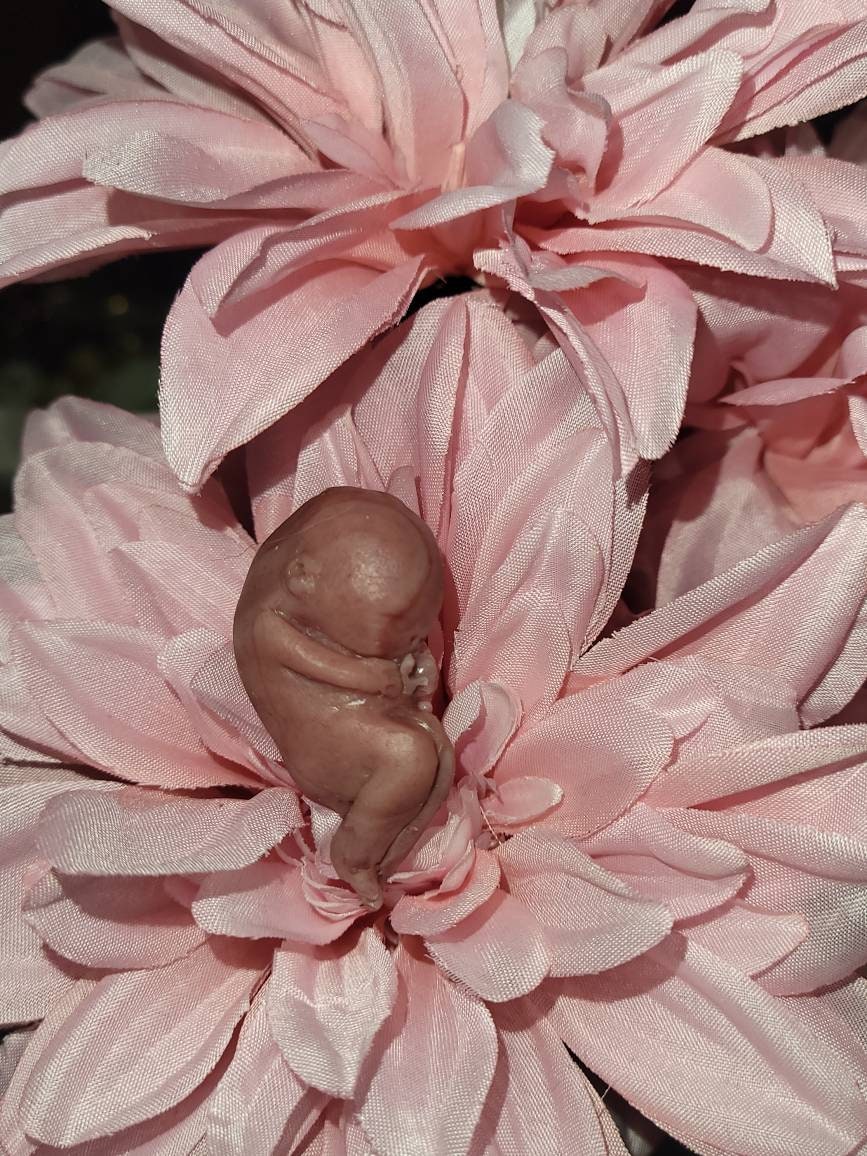 12 week gestational fetus memorial silicone baby