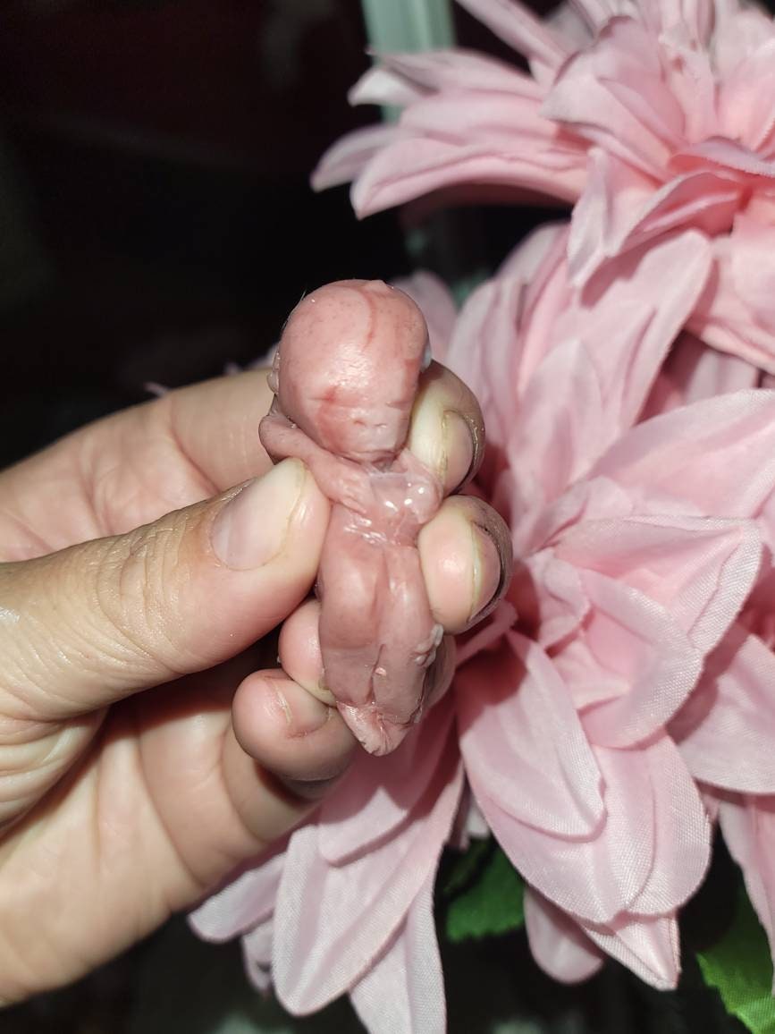 12 week gestational fetus memorial silicone baby