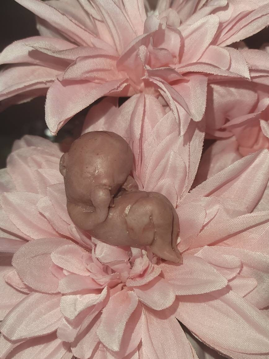 13 week gestational fetus silicone baby