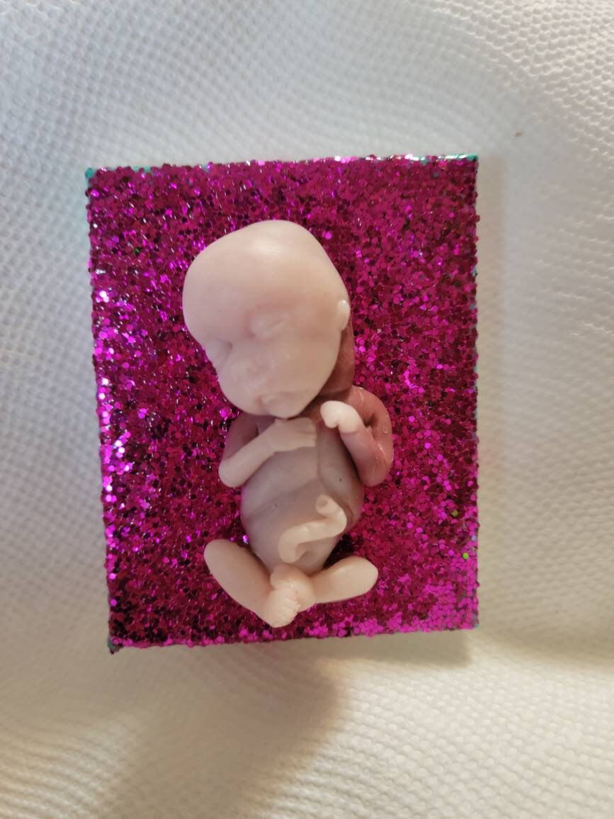 14 week gestational memorial fetus fridge magnet