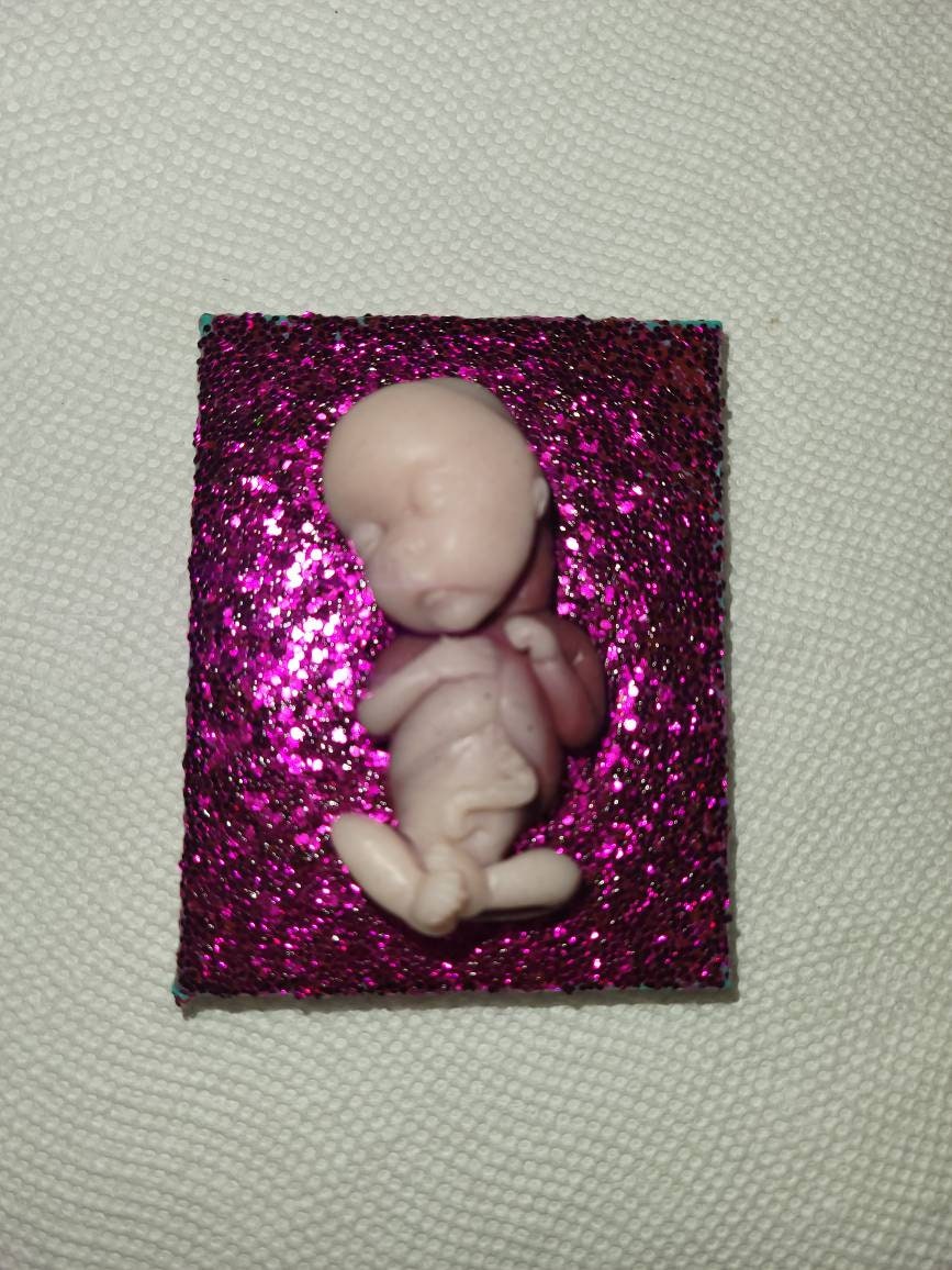 14 week gestational memorial fetus fridge magnet