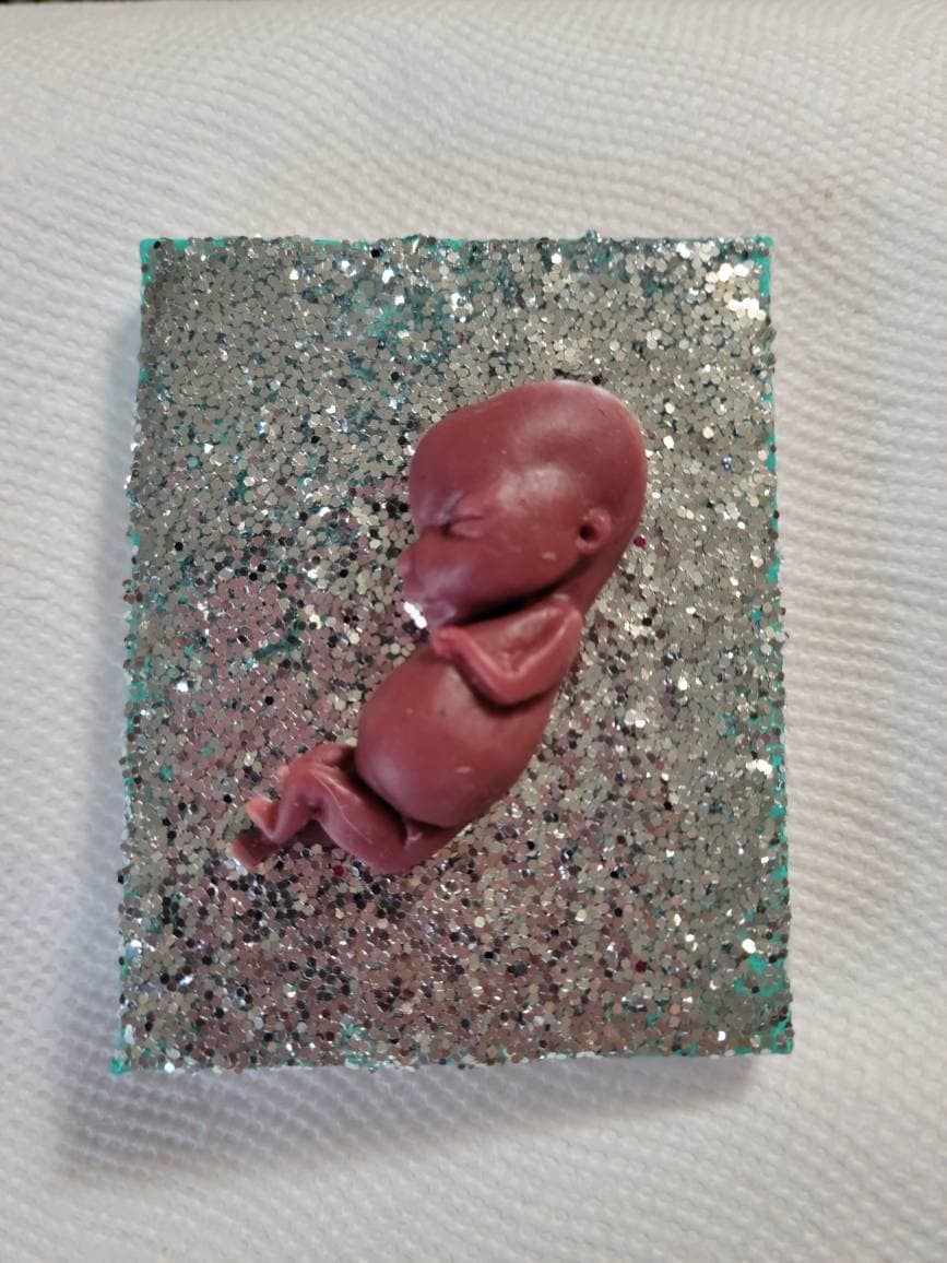 12 week gestation silicone fetus memorial fridge magnet