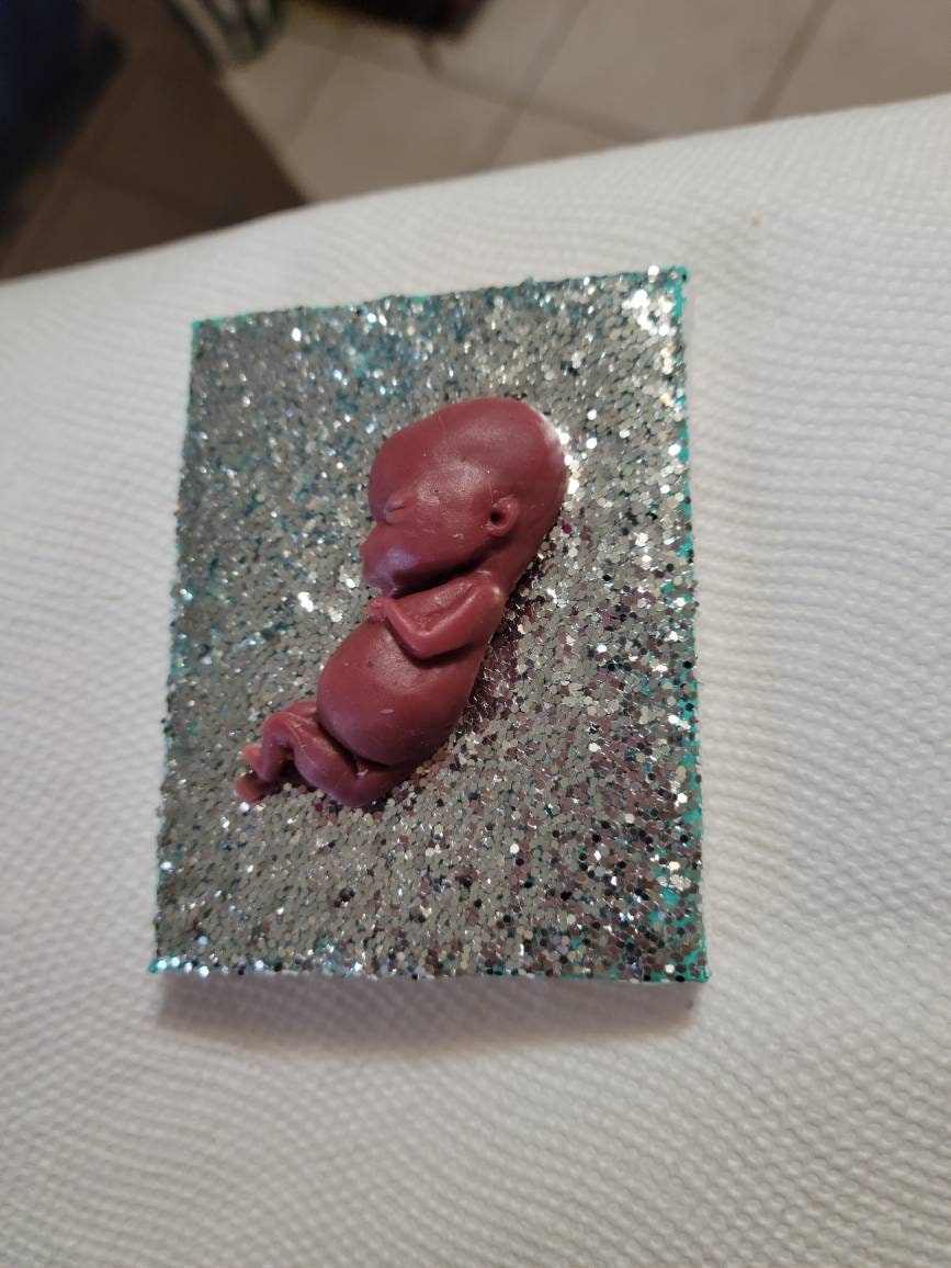 12 week gestation silicone fetus memorial fridge magnet
