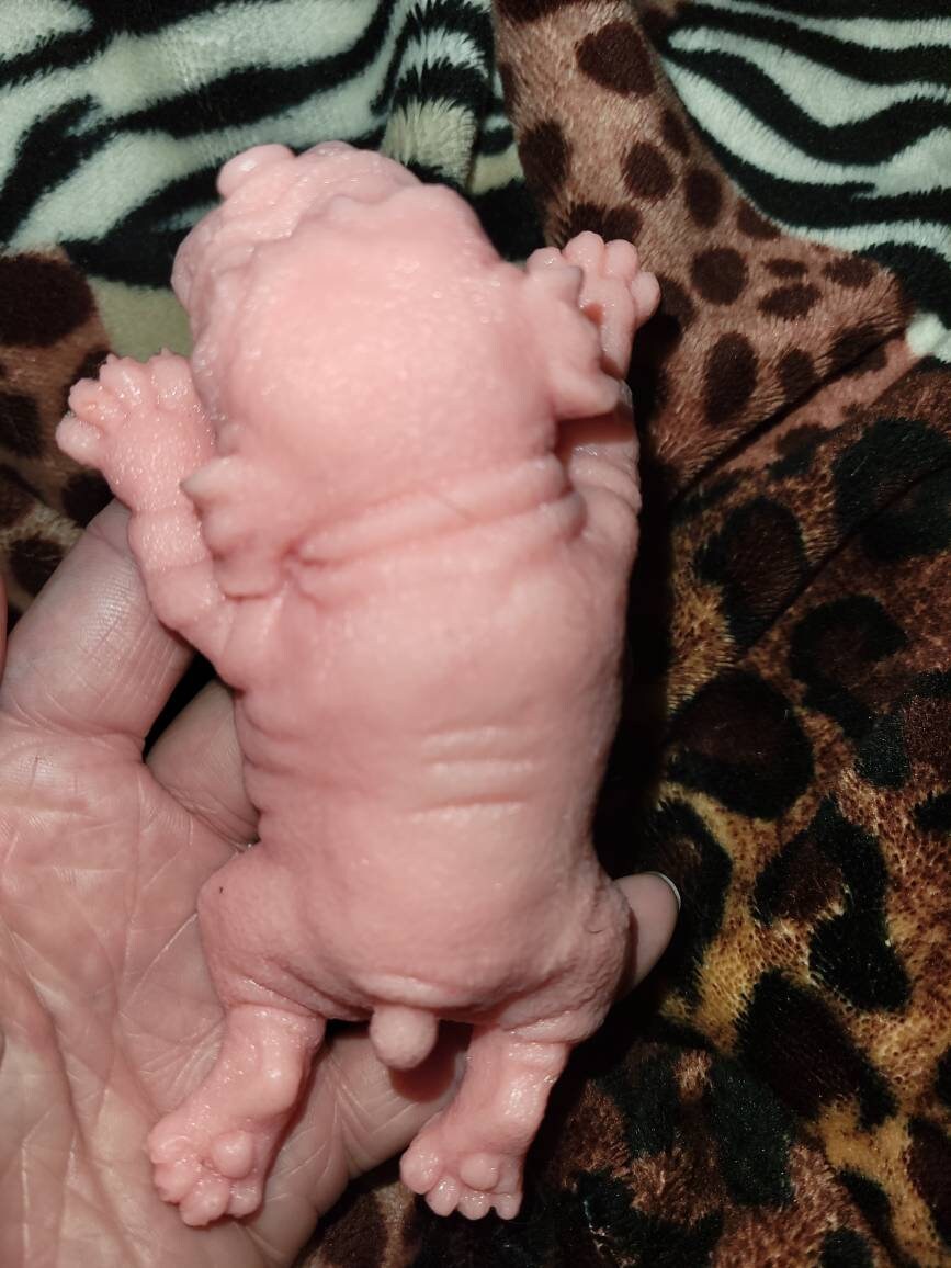 6" silicone baby puppy dog choose any color bulldog