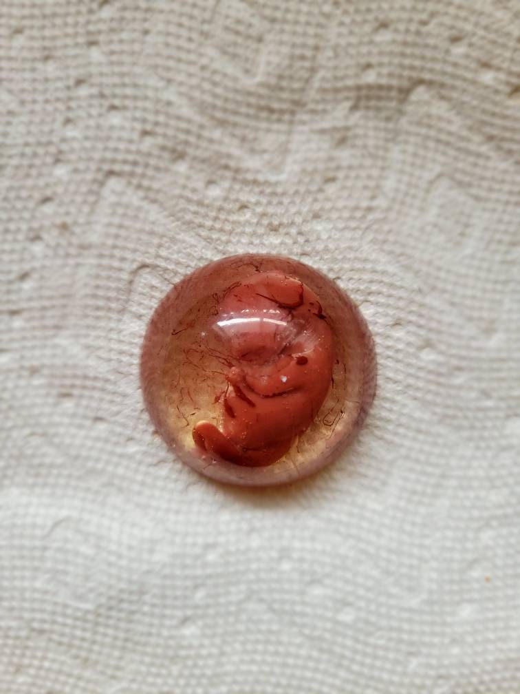 Silicone memorial baby Inside womb