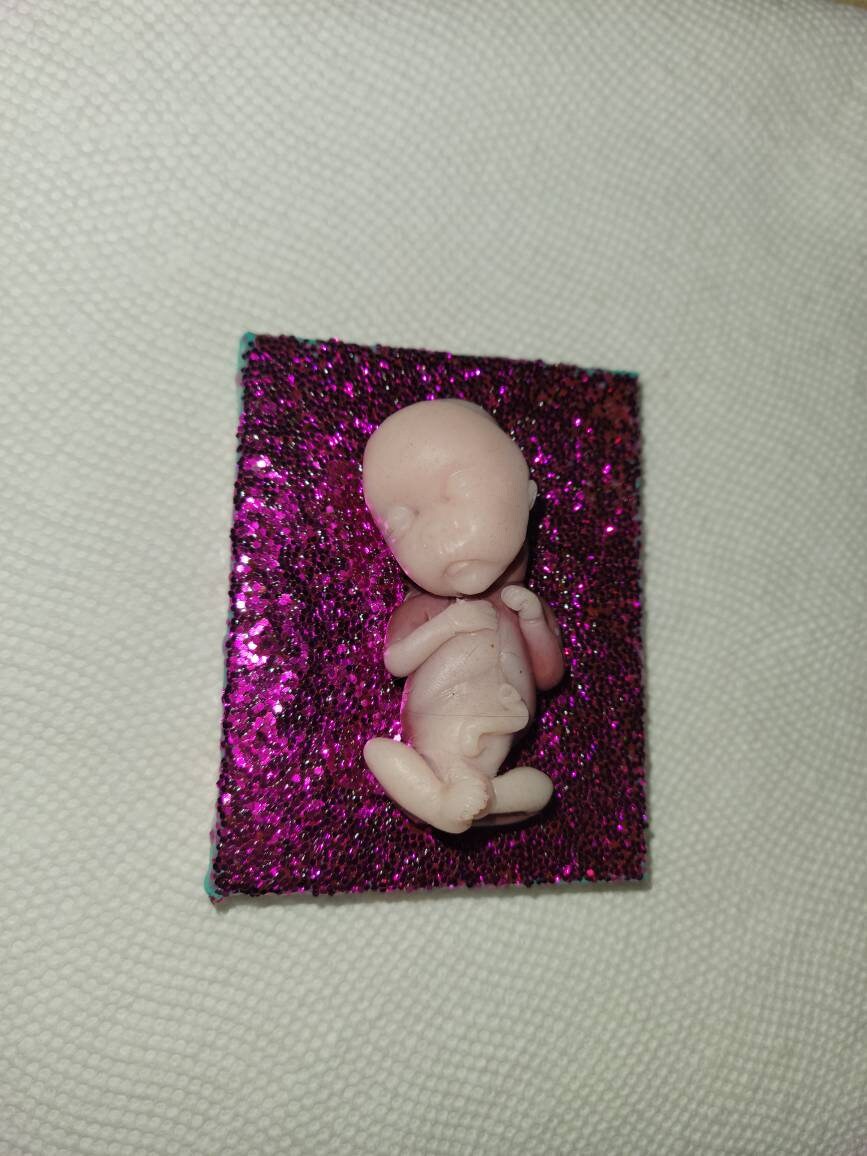 14 week gestational memorial fetus fridge magnet
