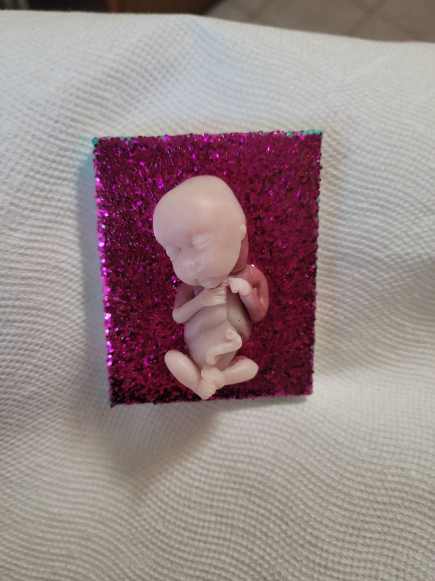 14 week gestational memorial fetus fridge magnet