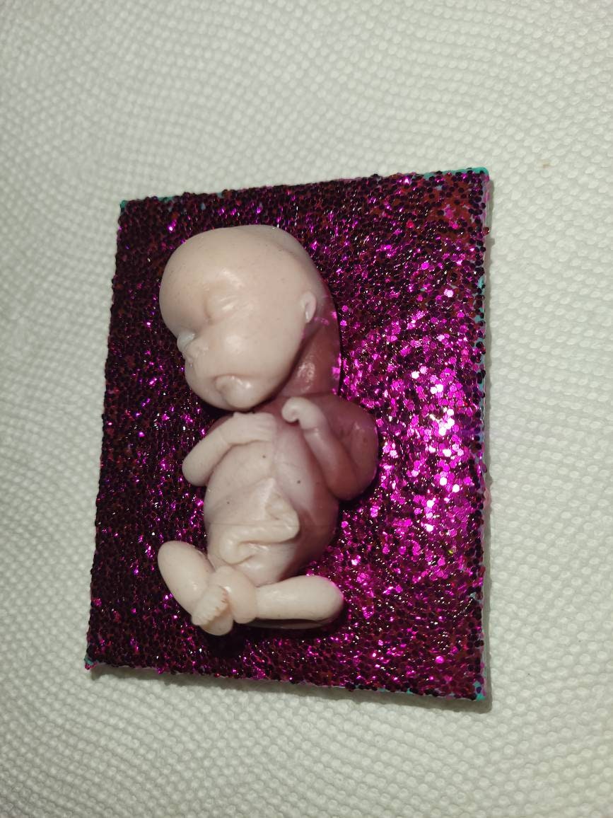 14 week gestational memorial fetus fridge magnet