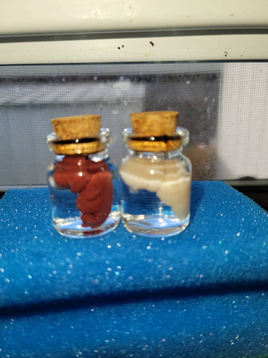 8 week silicone memorial fetus in jar