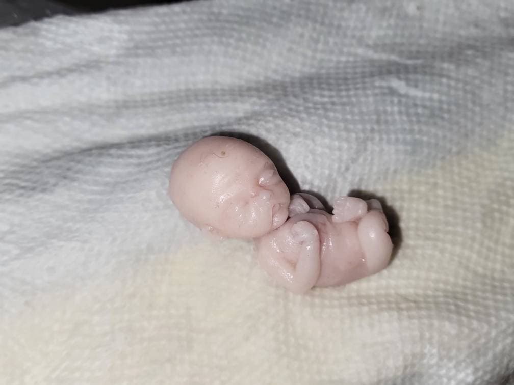 12 week gestational fetus silicone memorial baby keepsake