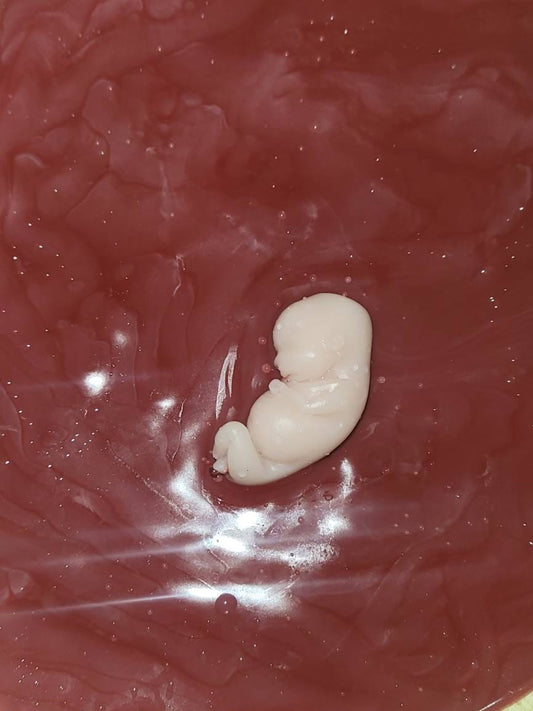 10 week gestational silicone memorial baby fetus inside silicone womb keepsake