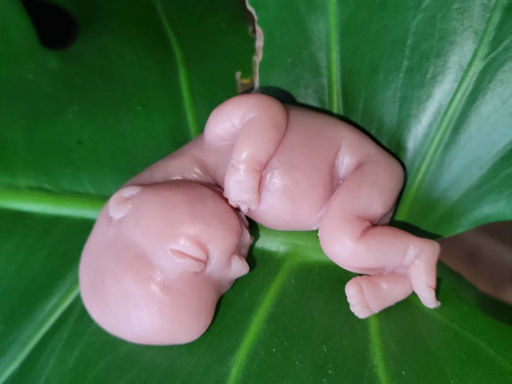 15 week memorial fetus silicone baby