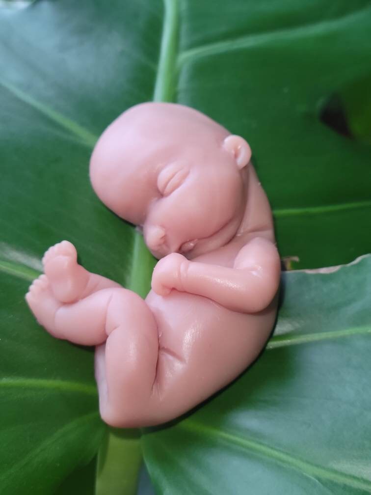 17 week gestational silicone baby fetus memorial baby