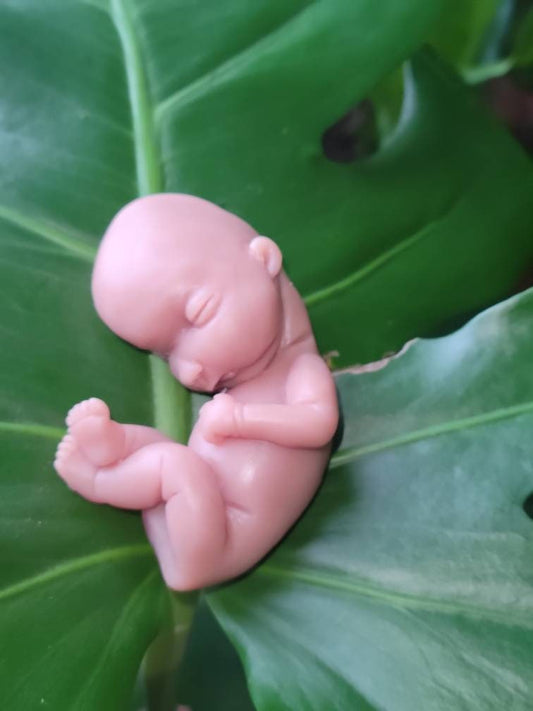 17 week gestational silicone baby fetus memorial baby