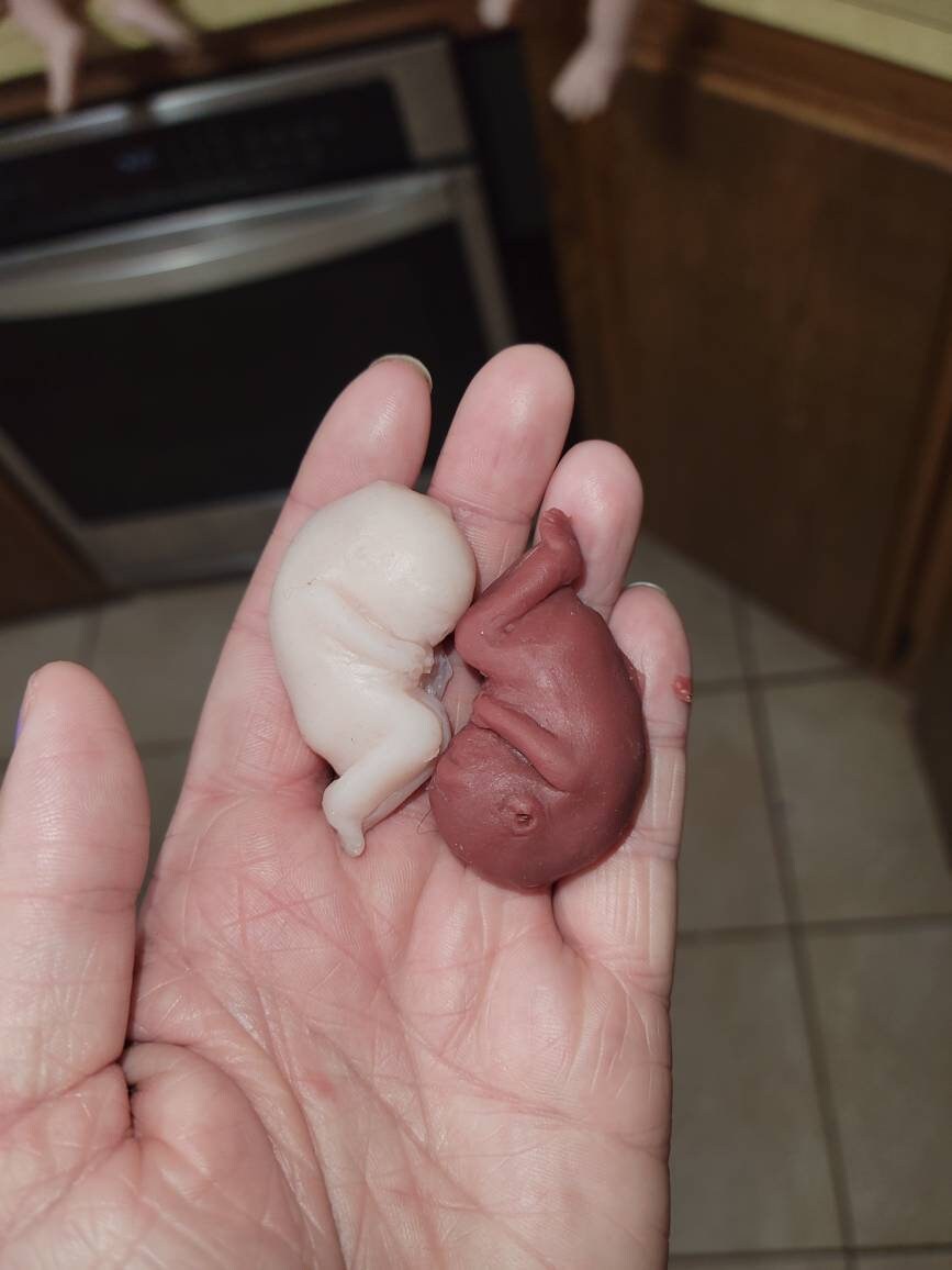 12 week gestational fetus memorial silicone baby