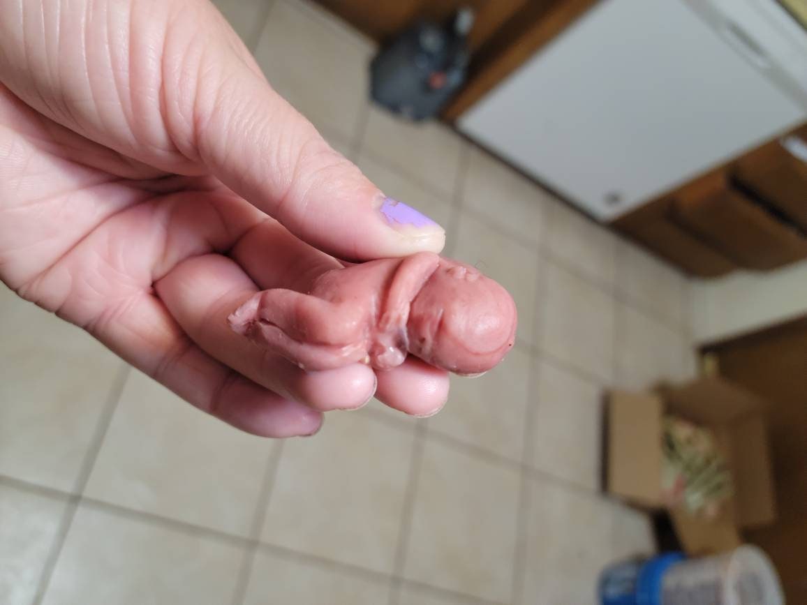12 week gestational fetus memorial silicone baby