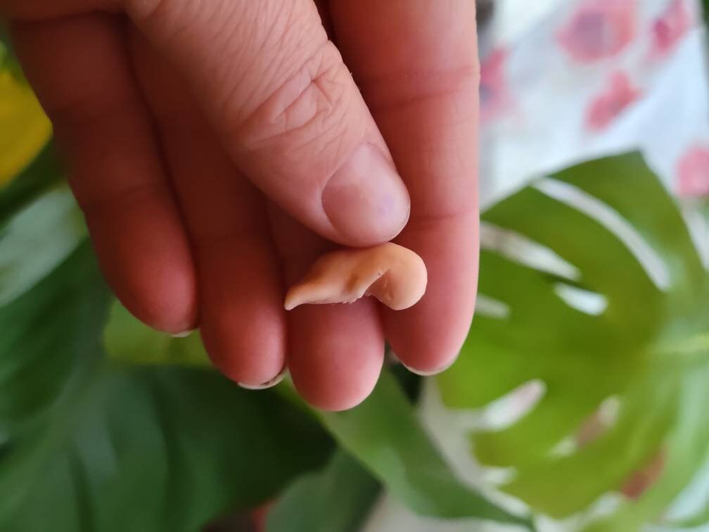 8 week memorial silicone fetus