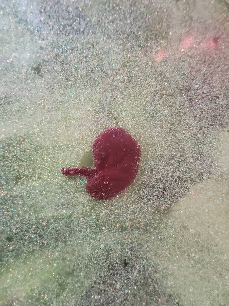 9 week resin fetus in resin glitter