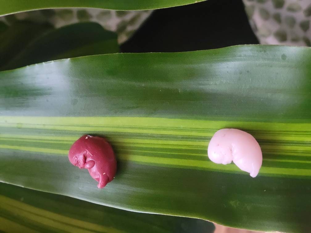 9 week silicone memorial fetus with card