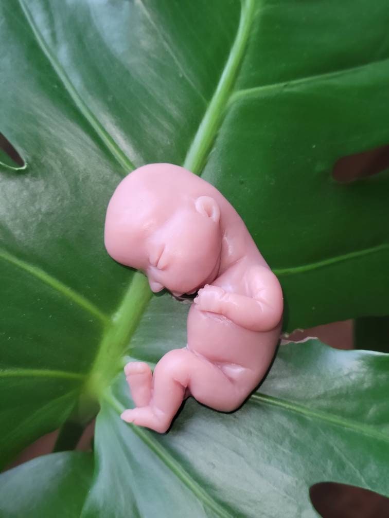 15 week memorial fetus silicone baby