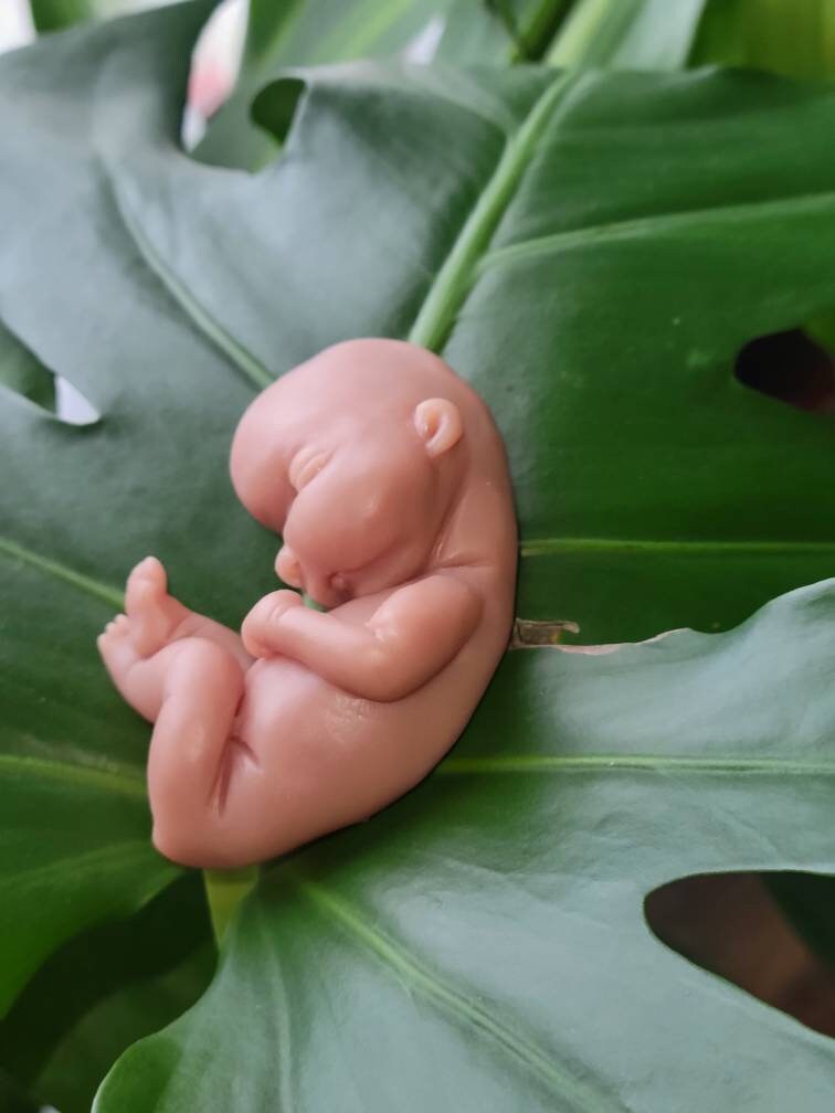 17 week gestational silicone baby fetus memorial baby