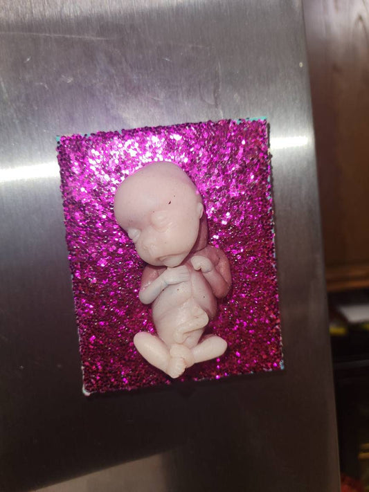 14 week gestational memorial fetus fridge magnet