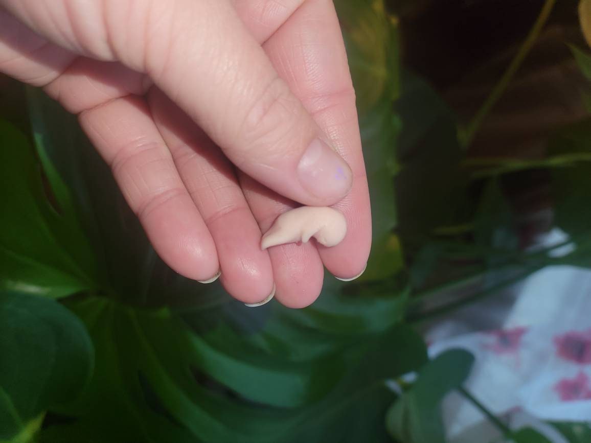 8 week memorial silicone fetus