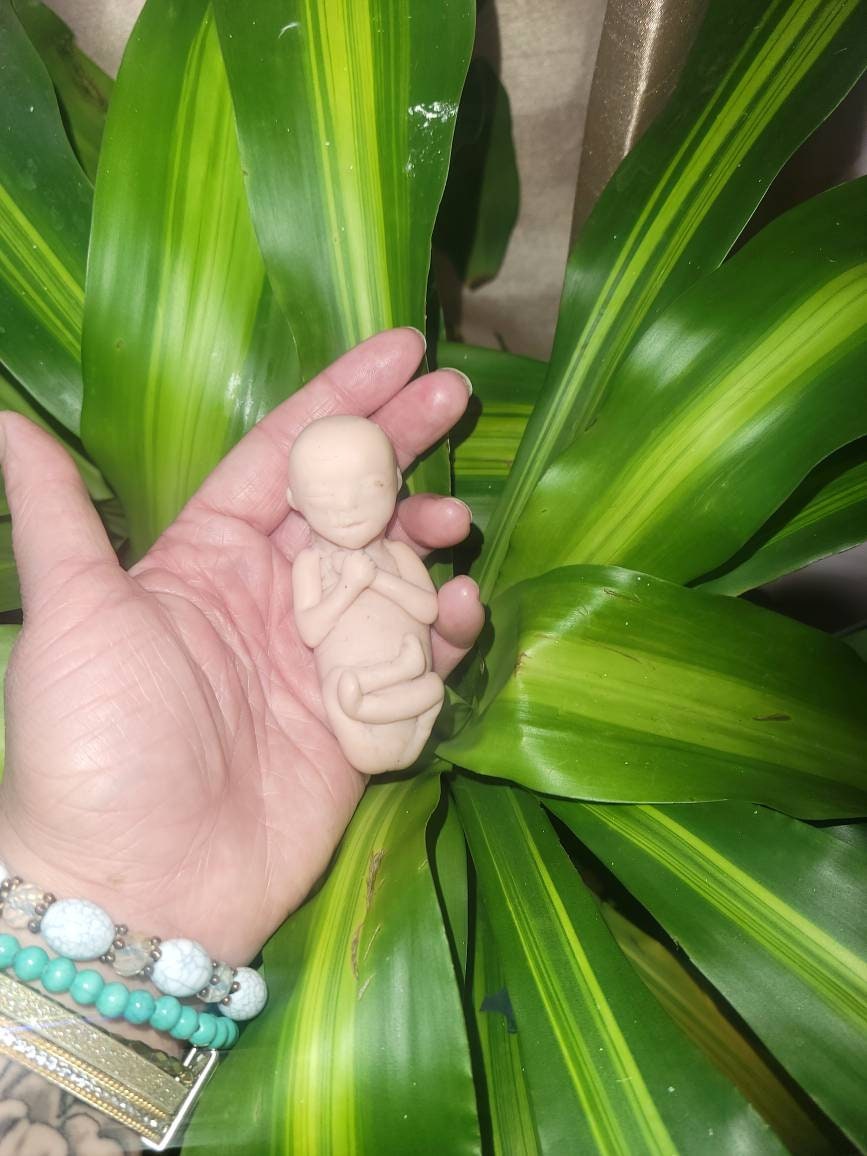 17 week gestation silicone baby