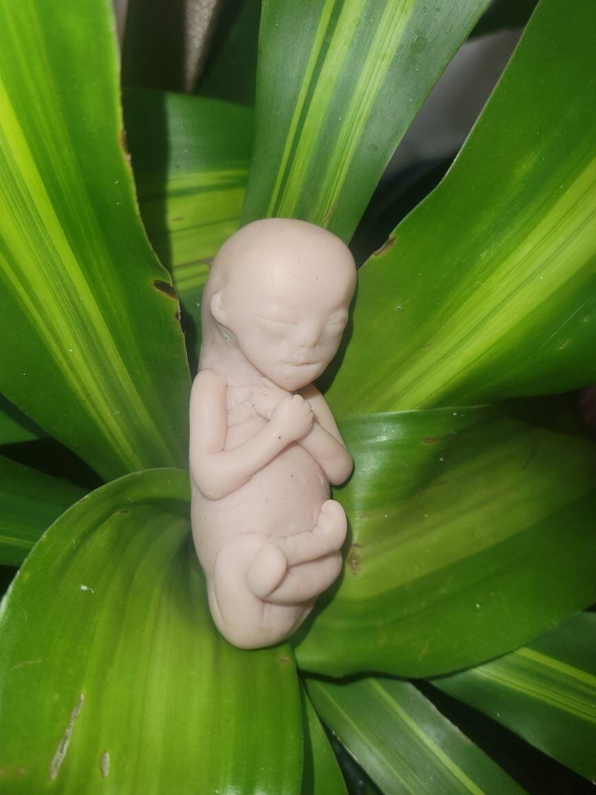 17 week gestation silicone baby