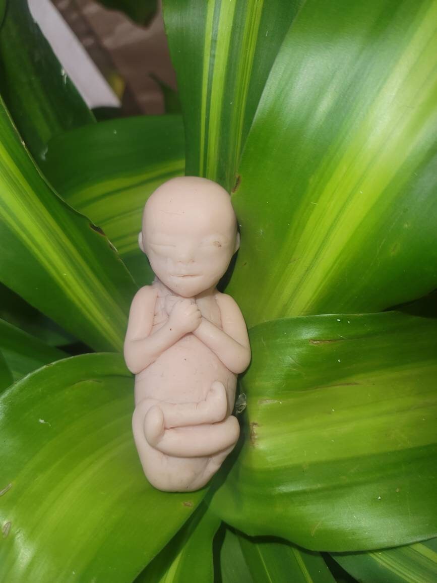 17 week gestation silicone baby