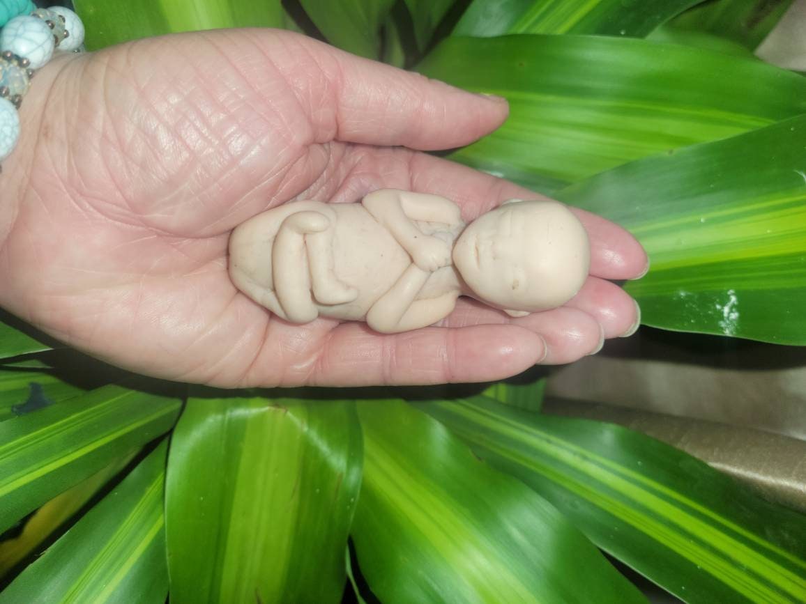 17 week gestation silicone baby