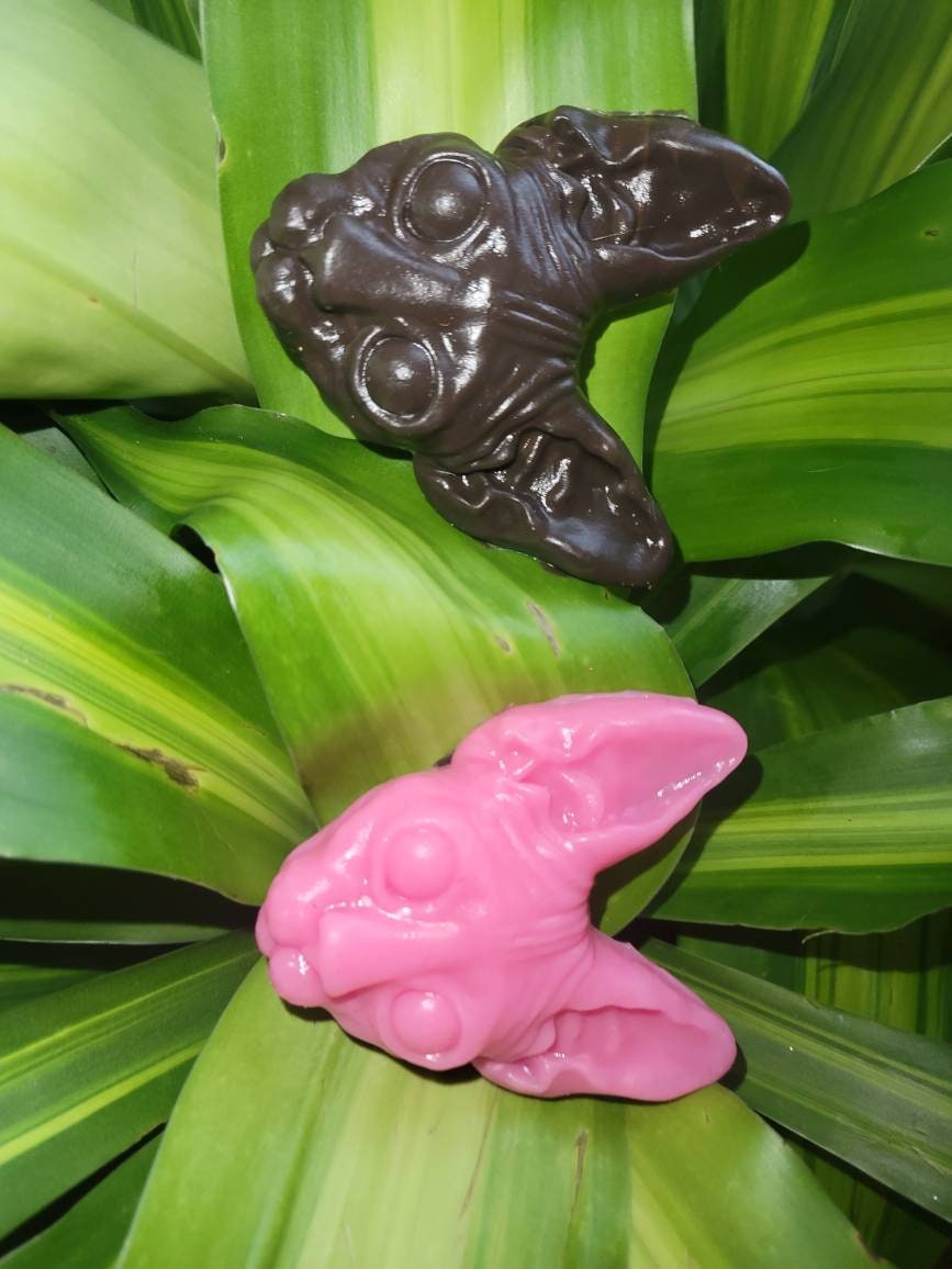 Silicone or soap spynx cat face