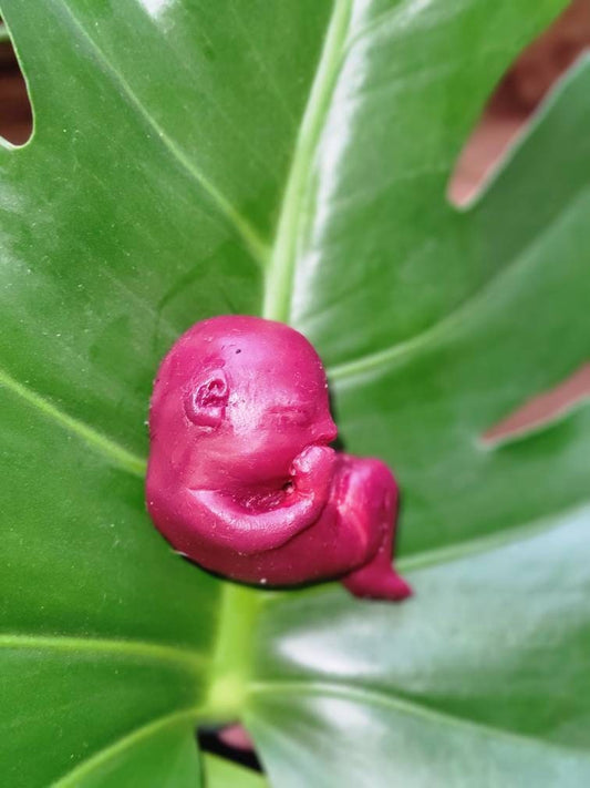 13 week memorial silicone fetus
