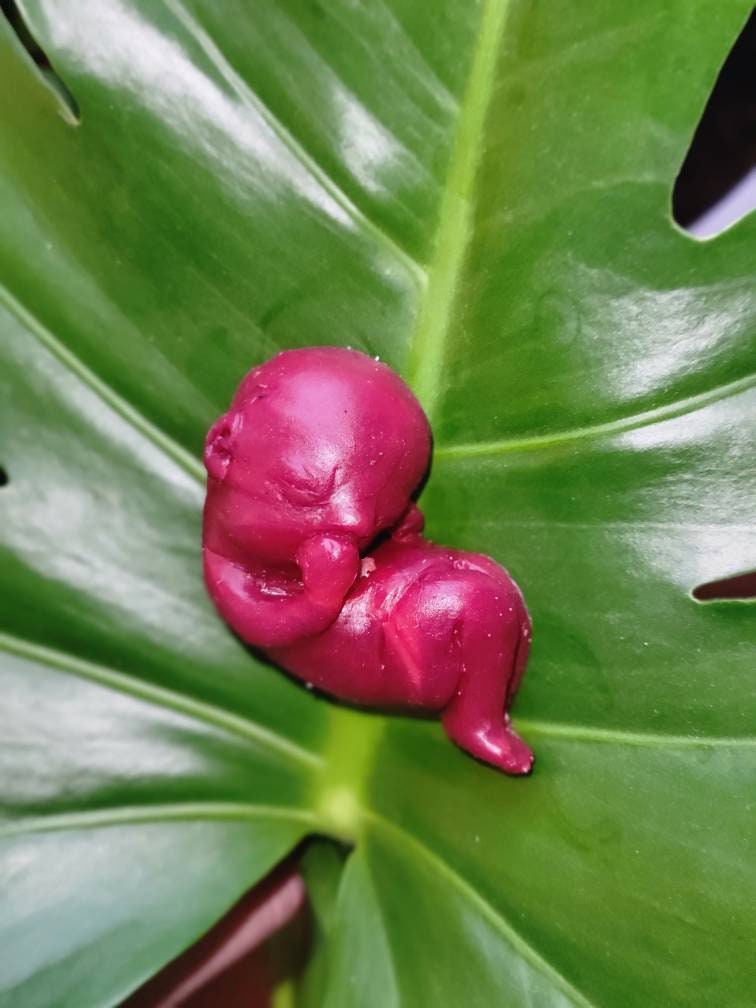 13 week memorial silicone fetus