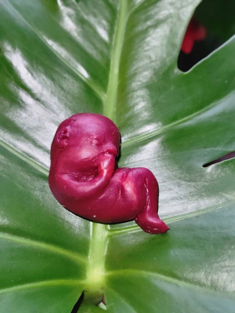 13 week memorial silicone fetus