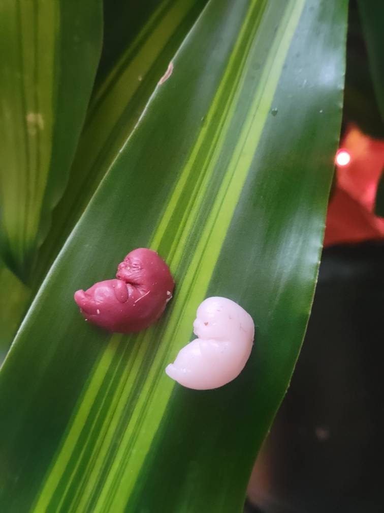 9 week silicone memorial fetus with card