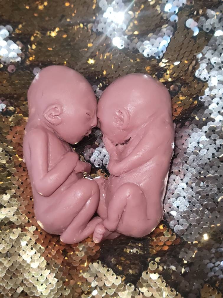 19 week silicone memorial fetus twins