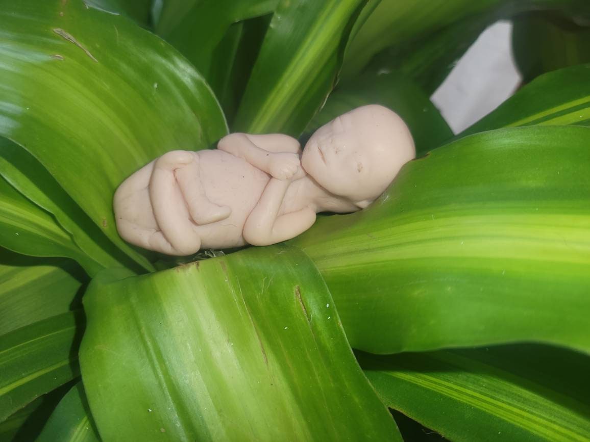 17 week gestation silicone baby