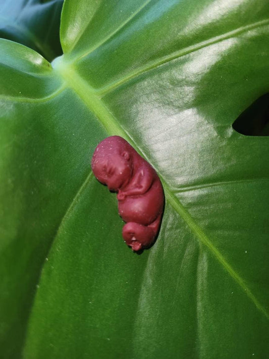 10 week gestational fetus silicone baby keepsake
