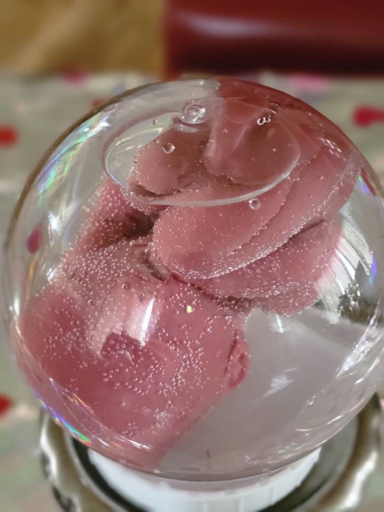 20 week gestational silicone fetus baby in water jar