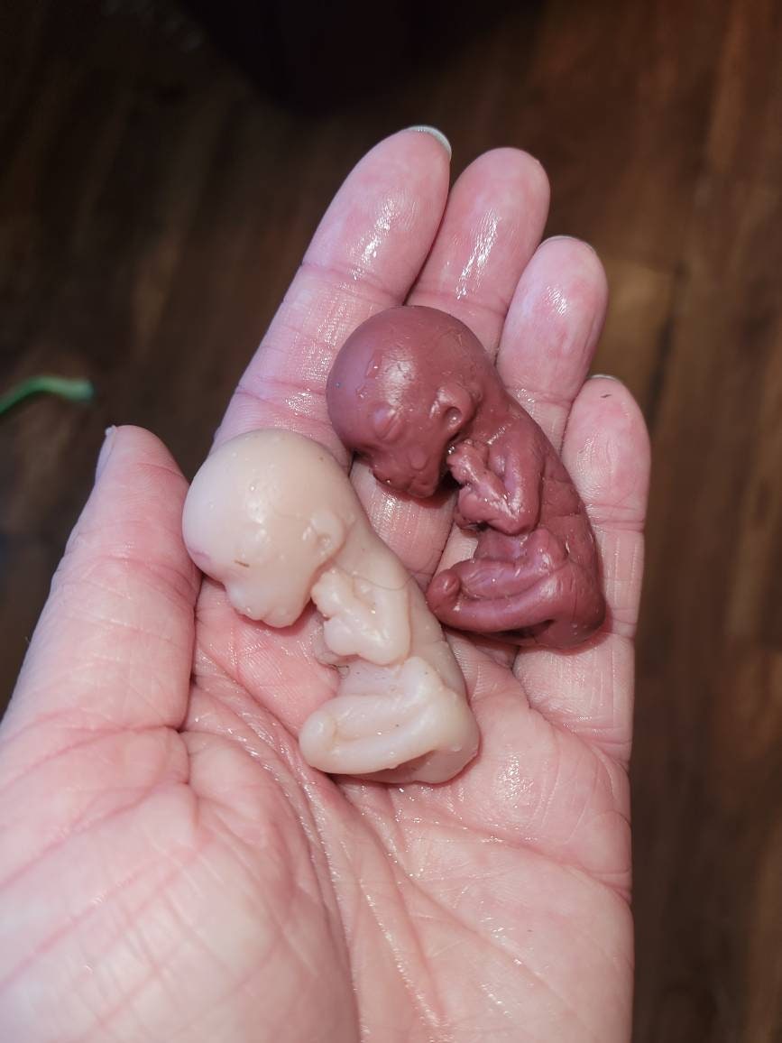12 week gestational fetus silicone baby cute