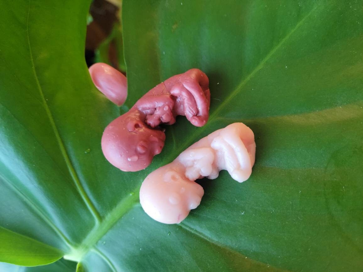 12 week gestational fetus silicone baby cute