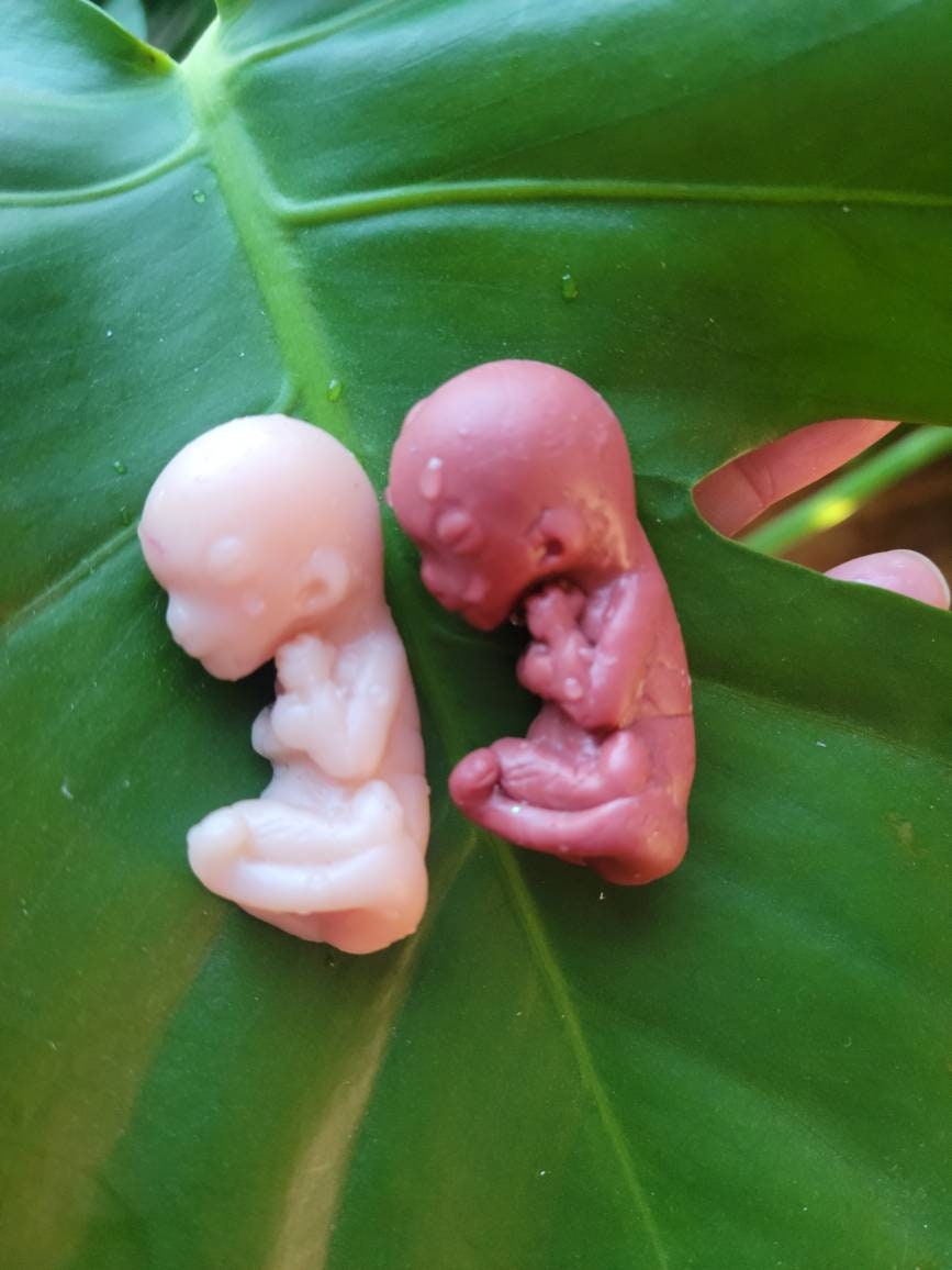 12 week gestational fetus silicone baby cute